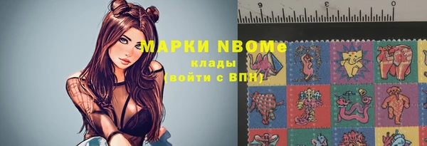прущие крисы Новозыбков