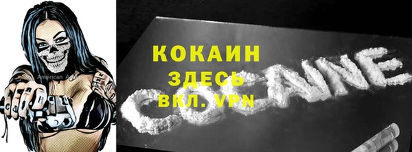 дмт Новодвинск