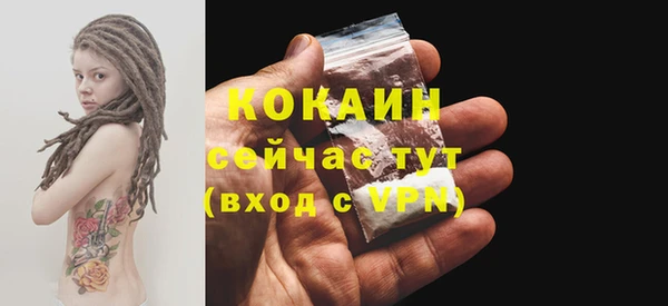 дмт Новодвинск