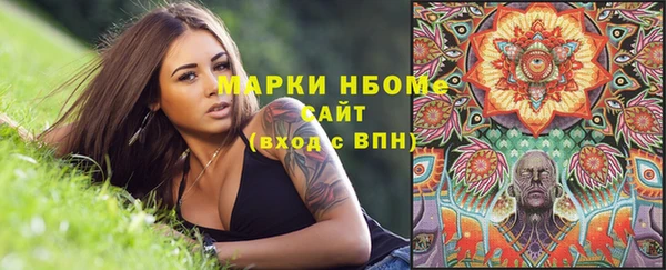 прущие крисы Новозыбков