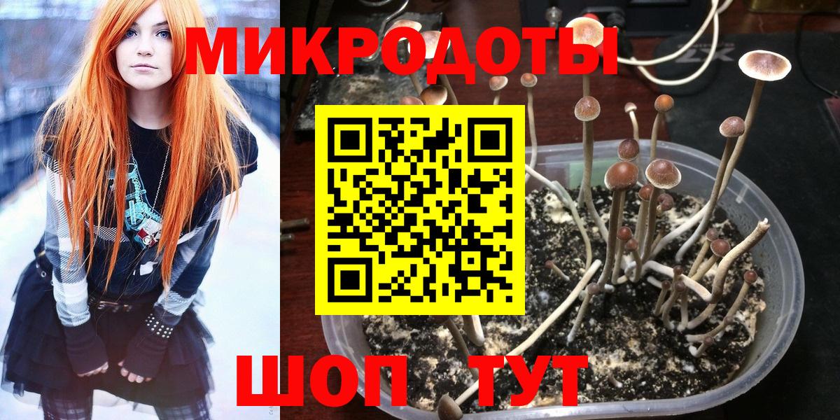 Галлюциногенные грибы ЛСД  как найти закладки  Истра  Вход с VPN  Псилоцибиновые грибы ЛСД 
