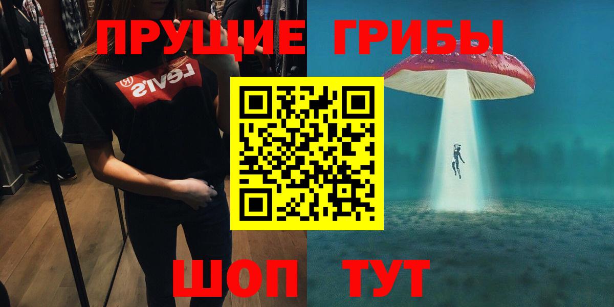 Псилоцибиновые грибы Psilocybe  Истра 